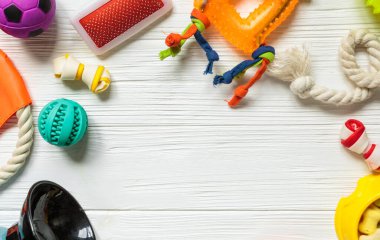 Farklı renkte hayvan bakım aksesuarları: kase, kemikler, toplar, beyaz ahşap arka planda atıştırmalıklar. Köpekler için lastik ve tekstil oyuncakları. Üst manzara, düz yatış. Boşluğu kopyala