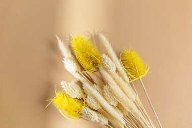 Bej arka planda kuru buğday kulakları, üst manzara. Güneş ışığı gölgeli bir buket kurumuş çiçek. Çiçek kartı. Modelleme. Minimalizm