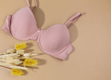 Modern moda pembe bayan sütyeni ve ipek iç çamaşırı, parfüm. Şık pamuklu iç çamaşırları, kadın iç çamaşırları. Dantelli külot ve bej arka planda sutyen. Hediye fikirleri, alışveriş ve moda konsepti.