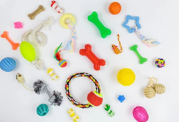 Συλλογή Από Πολύχρωμα Παιχνίδια Οστά Σχοινιά Από Βαμβάκι Πλαστικό Καουτσούκ — Φωτογραφία Αρχείου