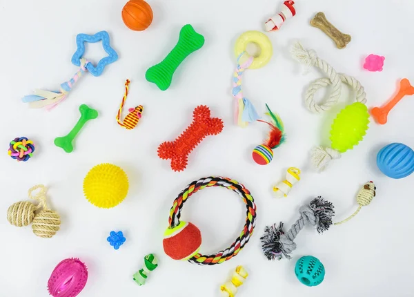 Συλλογή Από Πολύχρωμα Παιχνίδια Οστά Σχοινιά Από Βαμβάκι Πλαστικό Καουτσούκ — Φωτογραφία Αρχείου