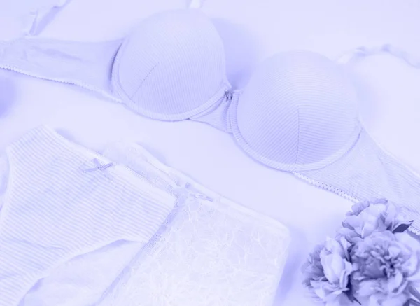 Sexy Women Underwear Flowers Bed Very Peri Beauty Blog Concept — Stock Photo, Image