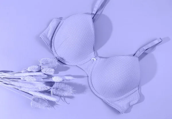 セクシーな女性の下着やベッドの上の花 非常にパーイバイオレットブラジャー 白い背景にランジェリー 美容ブログのコンセプト トップビュー フラットレイアウト — ストック写真
