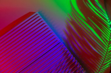 Soyut arka planda palmiye yaprakları ve neon ışıklı podyumlar. Ürünler için modaya uygun geometrik şekiller. Mor ve yeşil gradyan ışık. Minimalizm, 90 'lar, 80' ler konsepti.