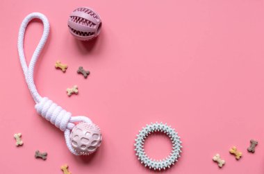 Lastik topları kapat, evcil hayvanlar için halkalar tak. Köpekler için çok renkli toplar ve pembe arka planda kemik atıştırmalıkları. Oyuncaklar, toplar, kemikler, oyun ve antrenman için.