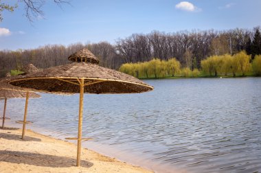 boş bir kıyısında plaj şemsiye