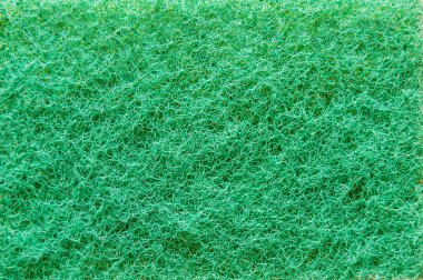 Yeşil sünger arka plan