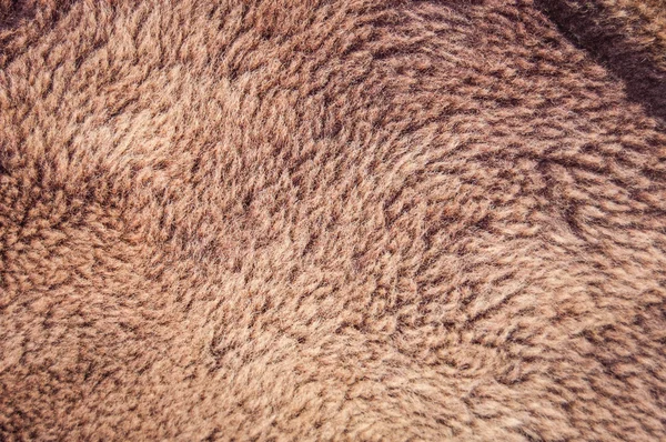 Brown fur background — Stock Photo, Image