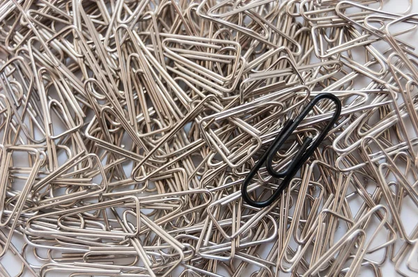Paper clips on a white background — Stock Photo, Image