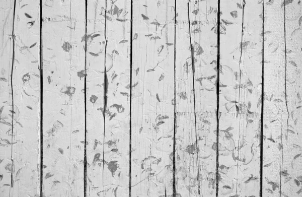 Ancient wood background — Stock Photo, Image