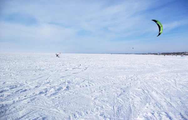 Cerf-volant d'hiver — Photo