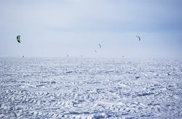 冬の凧 — ストック写真