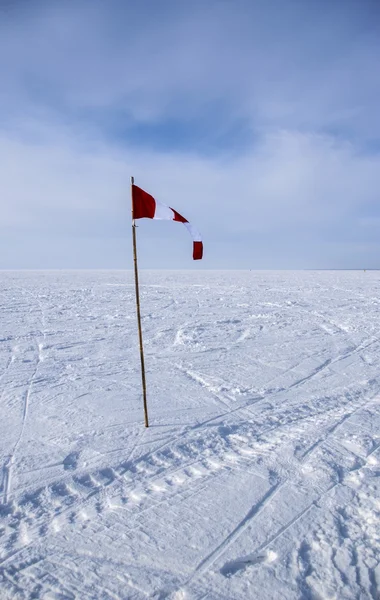 Флаг в снегу — стоковое фото