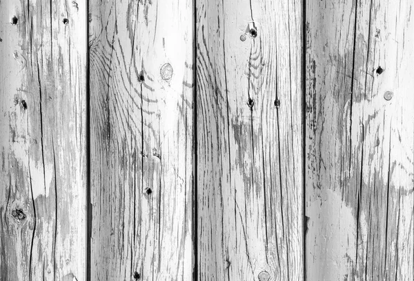 Wood grain — Stock Photo, Image