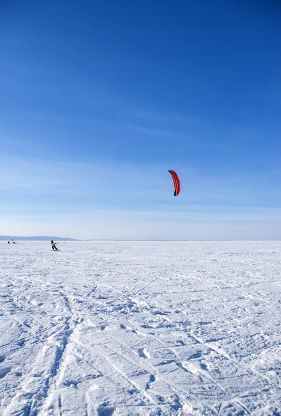 Winter kite — Stock Photo, Image
