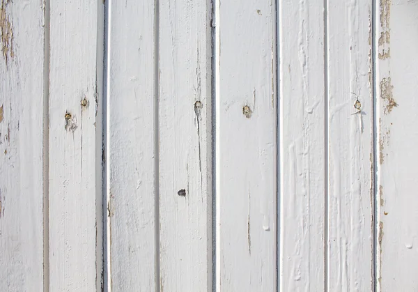 Textura del panel de madera viejo — Foto de Stock