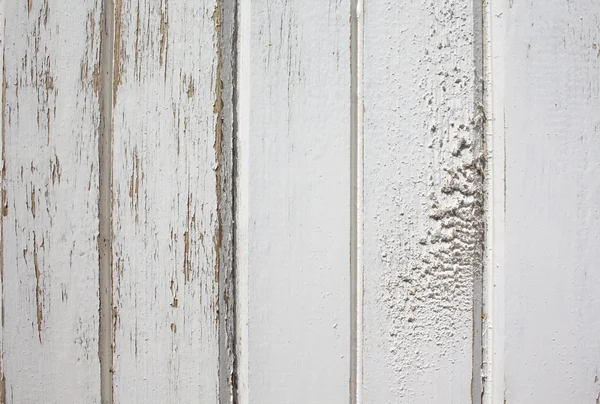 Texture of old wooden panel — Stock Photo, Image