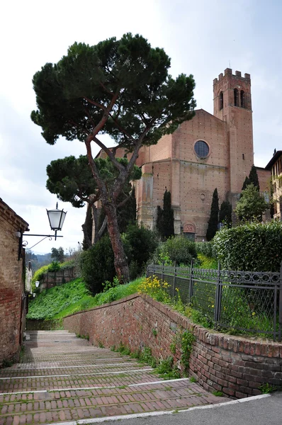 siena Panoraması