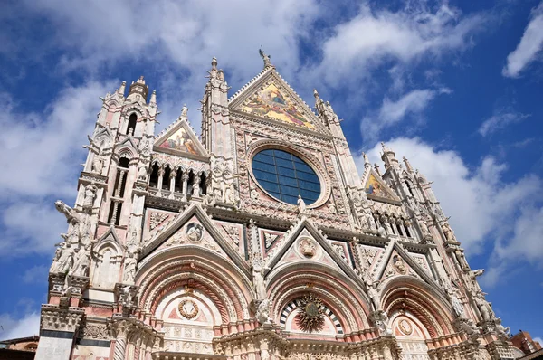 Duomo of the Siena — Stockfoto