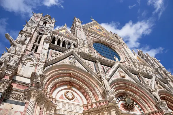 Duomo of the Siena — Stockfoto