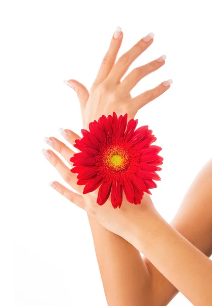 Beautiful hands — Stock Photo, Image