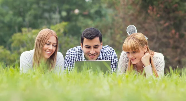 Friends lying on meadow and using laptop