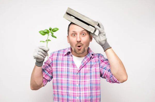 白い背景に隔離された植物と面白い男性庭師を驚かせました 驚くべき男の農家 スタジオショット — ストック写真