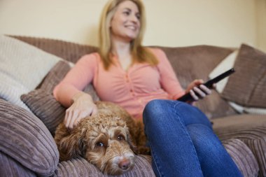 Evcil Cockapoo Köpekli Kadın Evde TV izlerken koltukta dinleniyor