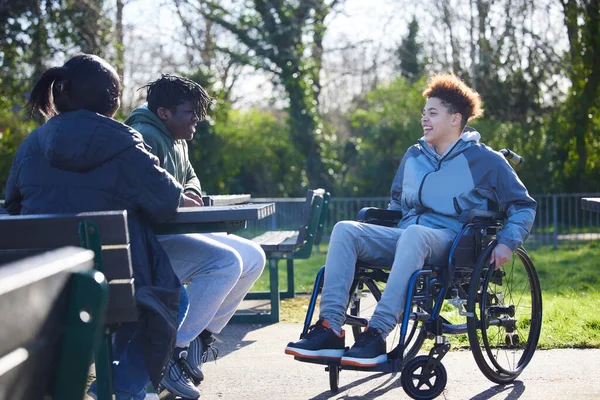 Teenagermädchen Rollstuhl Hängen Park Herum Und Reden Und Lachen Mit — Stockfoto