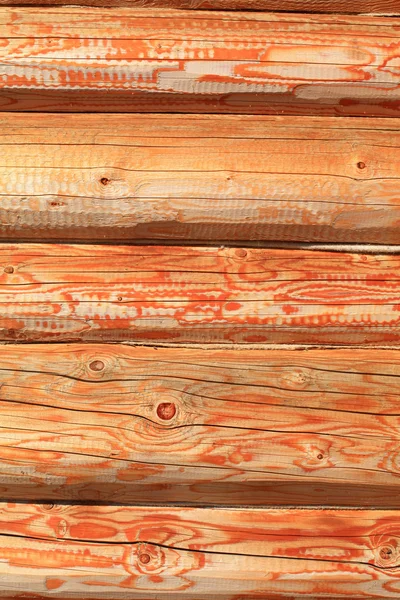 La parete di un legno . — Foto Stock