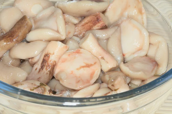 Turşu sarı boletuses.