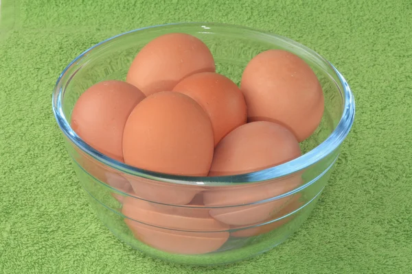 Chicken eggs in a glass bowl. — Stock Photo, Image