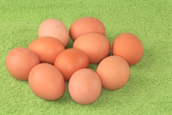 Chicken eggs. — Stock Photo, Image