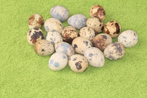 Перепелиные яйца на зеленом фоне . — стоковое фото