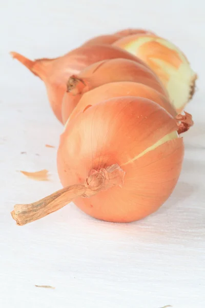 Zwiebeln. — Stockfoto