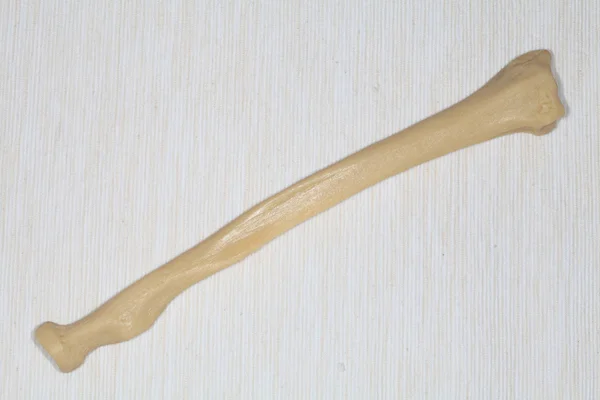 kemik radyasyon.