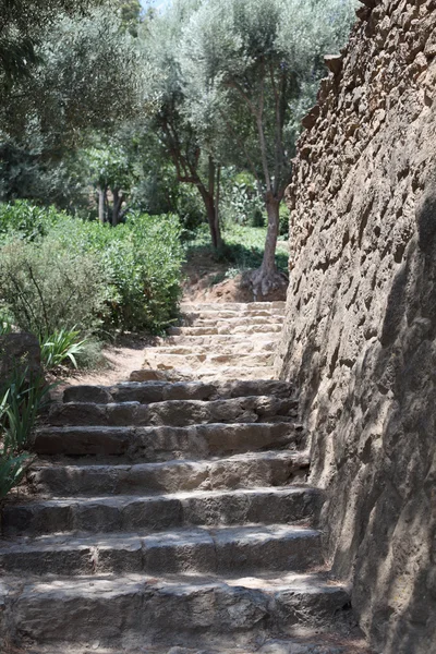 Stone steps. — Stock Photo, Image