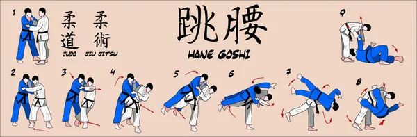 Judo voorjaar hip gooien — Stockvector