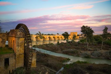 Roma Köprüsü'nden cordoba
