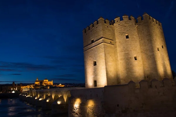 Nachtansicht der römischen Brücke von Cordoba — Stockfoto