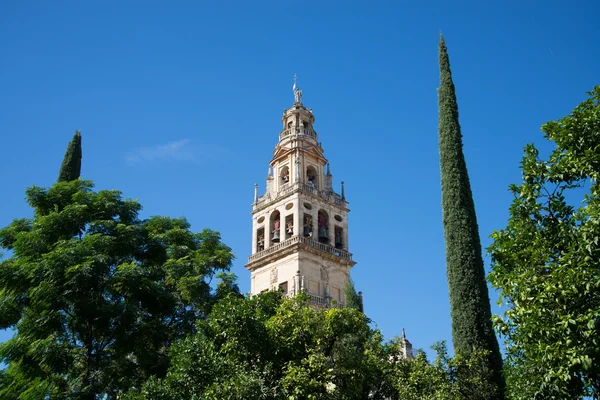 Codoba 的清真寺塔 — 图库照片