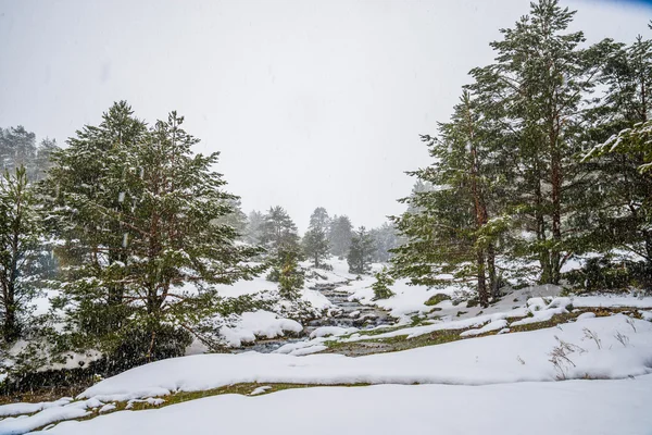 雪山与马德里的河. — 图库照片#