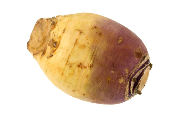 Closeup photo of Turnip (Brassica rapa) — Stock Photo, Image