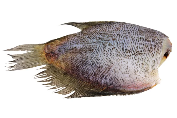 Pescado de hoja salada secado al sol —  Fotos de Stock