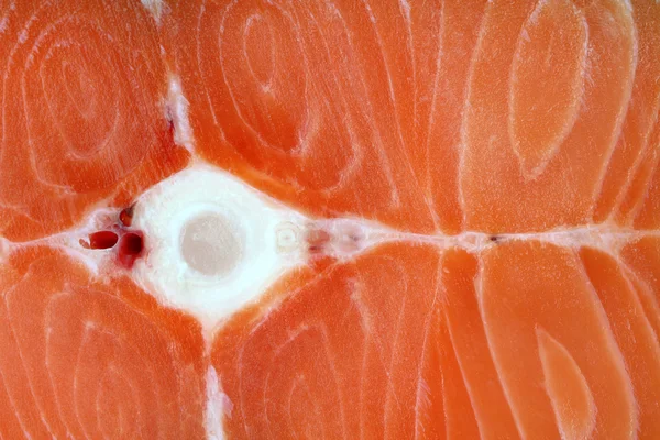 Closeup fotografie syrového lososa — Stock fotografie