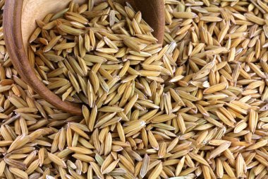 saman ile Asya pirinç