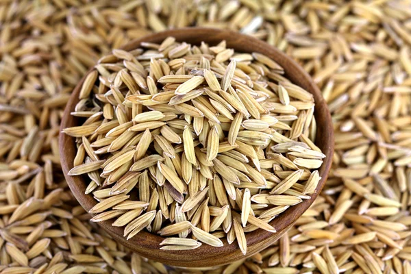 Arroz asiático con Chaff — Foto de Stock