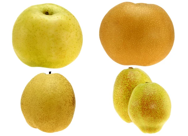 四种梨 — 图库照片