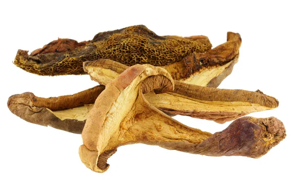 Dried Wild Bolete (Porcini) Mushrooms — Stock Photo, Image