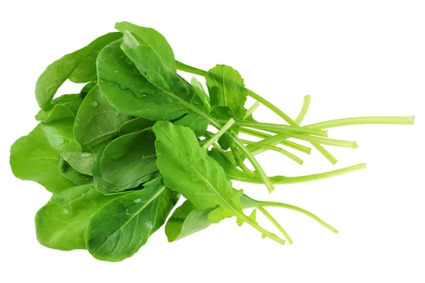 Closeup photo of Fresh organic Garden Rocket Salad — Stock Photo, Image